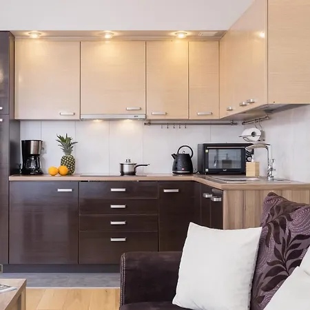 Stara Polana & By Renters Apartment *
